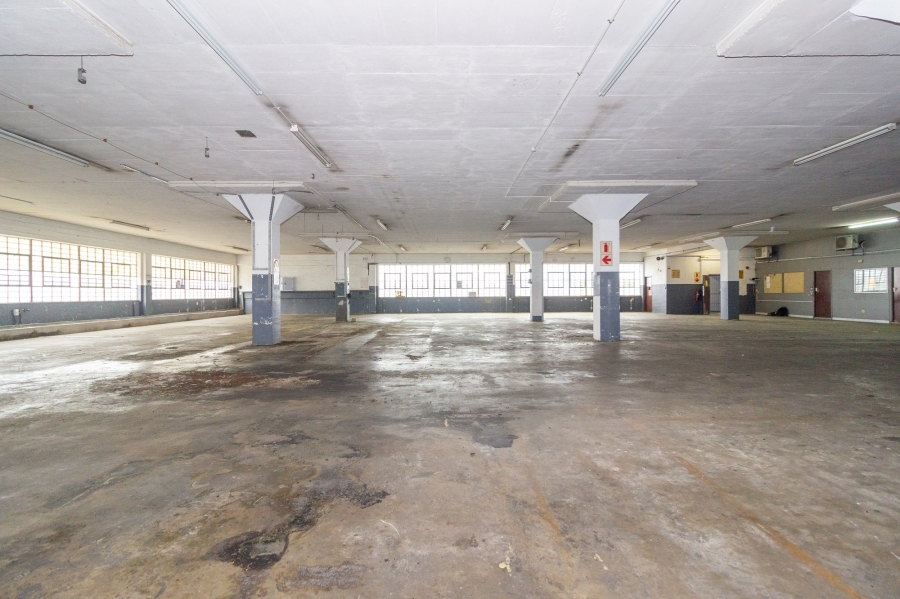 To Let commercial Property for Rent in Korsten Eastern Cape